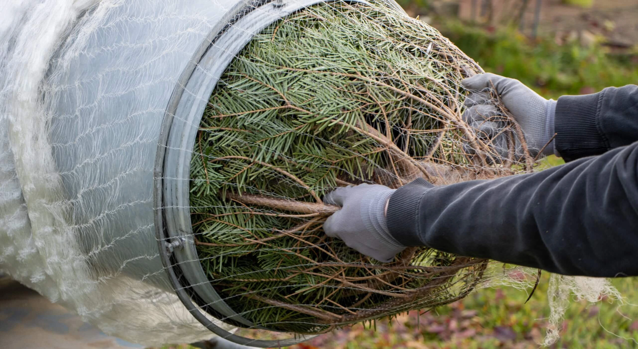 Český výrobce sítí na balení vánočních stromků